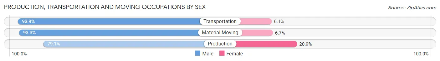 Production, Transportation and Moving Occupations by Sex in Zip Code 74038