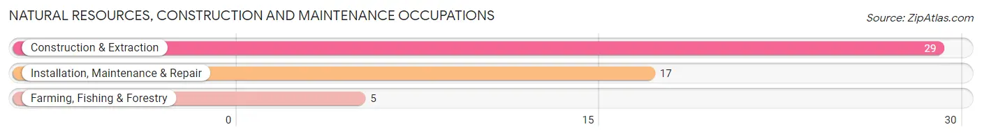 Natural Resources, Construction and Maintenance Occupations in Zip Code 74052