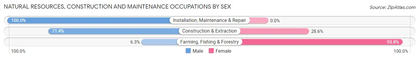 Natural Resources, Construction and Maintenance Occupations by Sex in Zip Code 74084