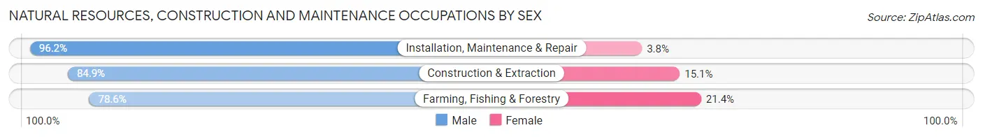 Natural Resources, Construction and Maintenance Occupations by Sex in Zip Code 74128