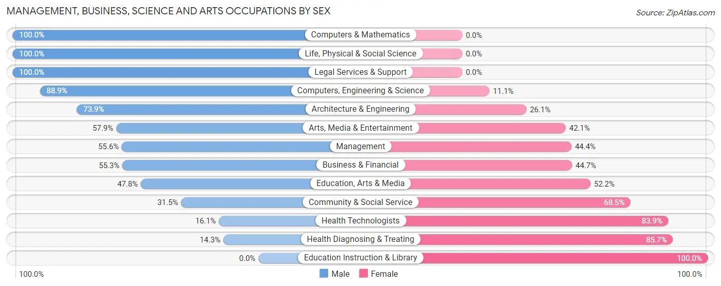 Management, Business, Science and Arts Occupations by Sex in Zip Code 74131