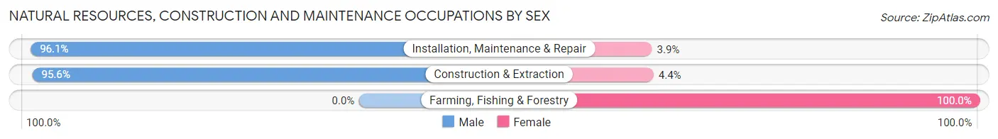 Natural Resources, Construction and Maintenance Occupations by Sex in Zip Code 74145
