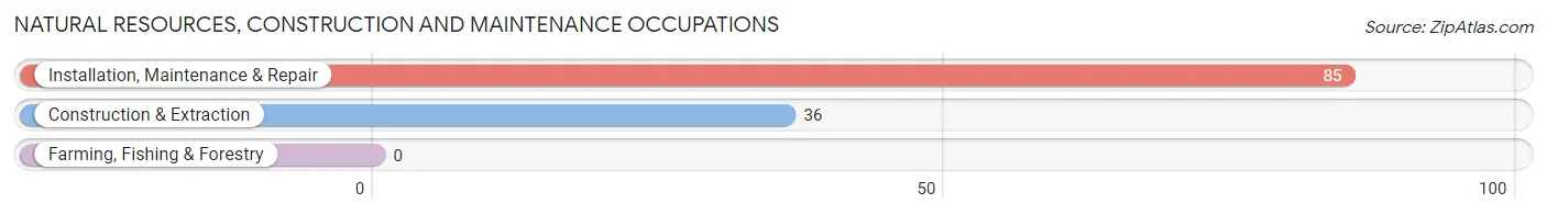 Natural Resources, Construction and Maintenance Occupations in Zip Code 74330