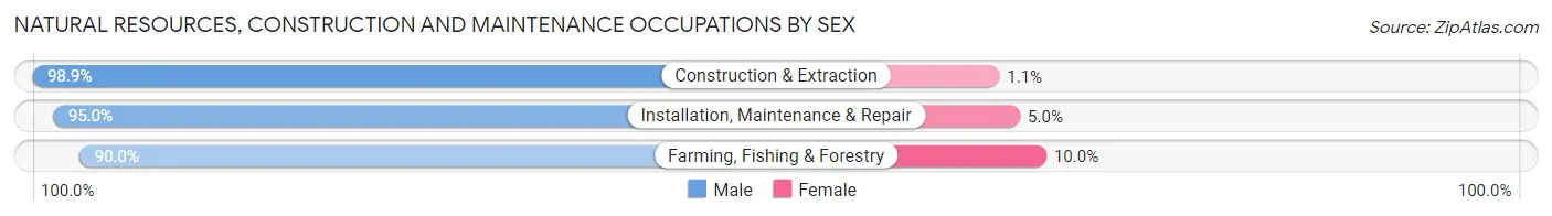 Natural Resources, Construction and Maintenance Occupations by Sex in Zip Code 74361