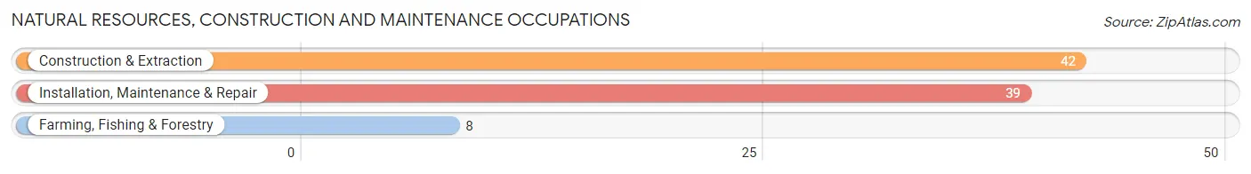 Natural Resources, Construction and Maintenance Occupations in Zip Code 74366