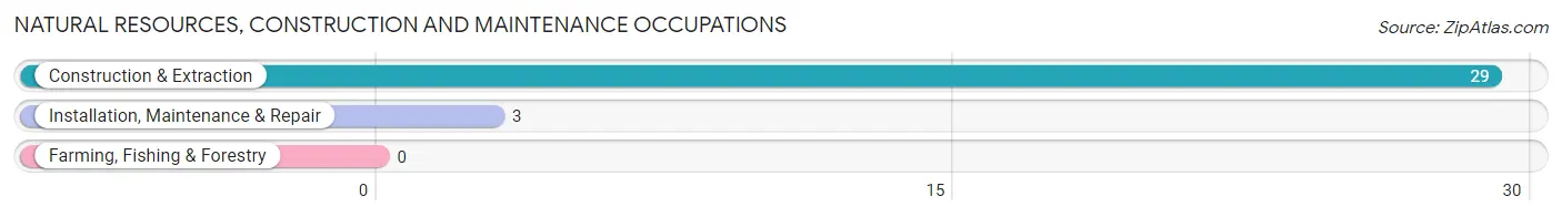 Natural Resources, Construction and Maintenance Occupations in Zip Code 74430