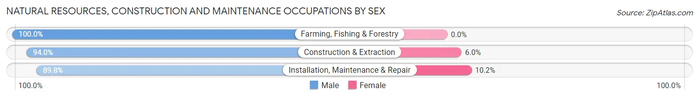 Natural Resources, Construction and Maintenance Occupations by Sex in Zip Code 74547