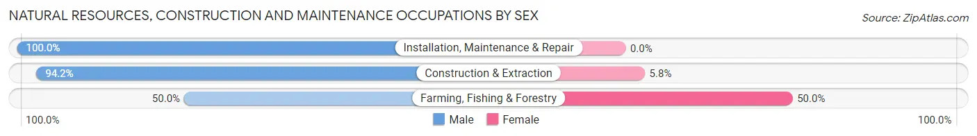 Natural Resources, Construction and Maintenance Occupations by Sex in Zip Code 74552