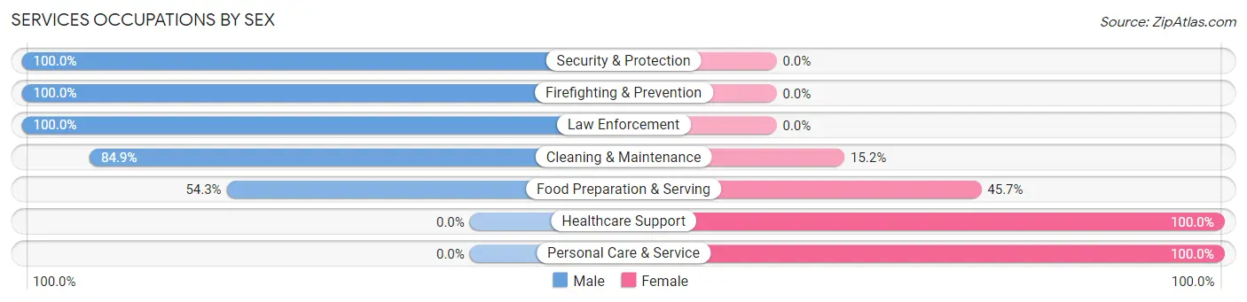 Services Occupations by Sex in Zip Code 74563