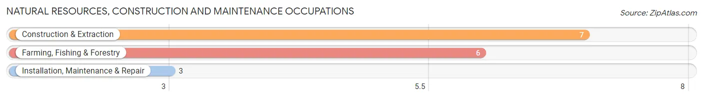 Natural Resources, Construction and Maintenance Occupations in Zip Code 74565