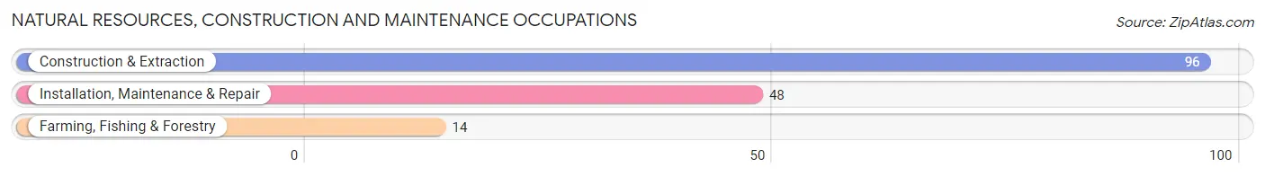 Natural Resources, Construction and Maintenance Occupations in Zip Code 74571