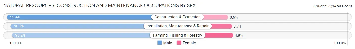 Natural Resources, Construction and Maintenance Occupations by Sex in Zip Code 74604