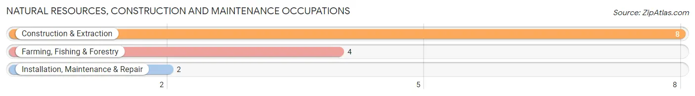 Natural Resources, Construction and Maintenance Occupations in Zip Code 74636