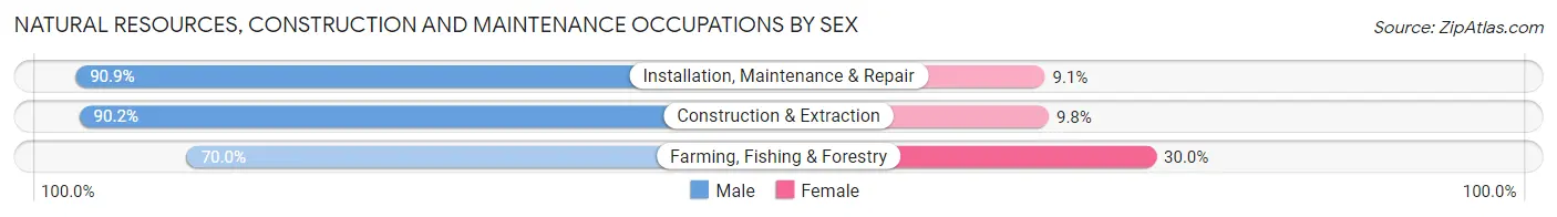 Natural Resources, Construction and Maintenance Occupations by Sex in Zip Code 74729