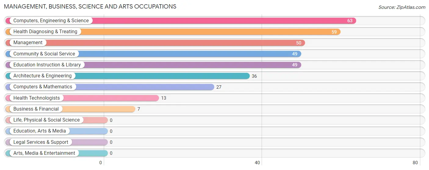 Management, Business, Science and Arts Occupations in Zip Code 74731