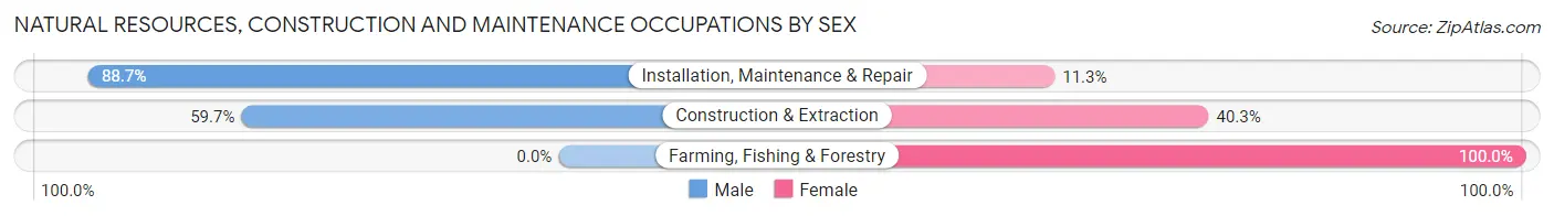 Natural Resources, Construction and Maintenance Occupations by Sex in Zip Code 74733