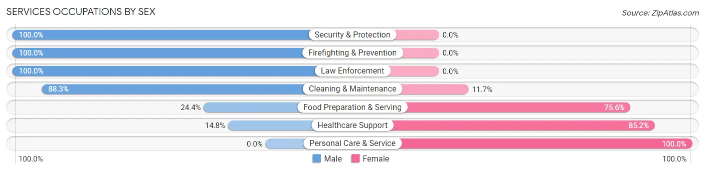 Services Occupations by Sex in Zip Code 74733