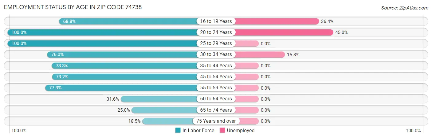 Employment Status by Age in Zip Code 74738