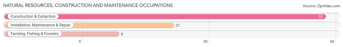 Natural Resources, Construction and Maintenance Occupations in Zip Code 74740