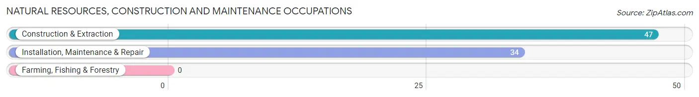 Natural Resources, Construction and Maintenance Occupations in Zip Code 74824