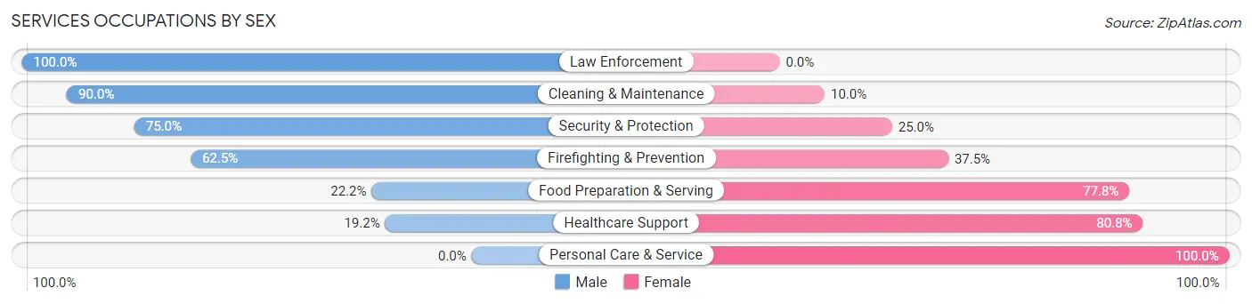 Services Occupations by Sex in Zip Code 74849