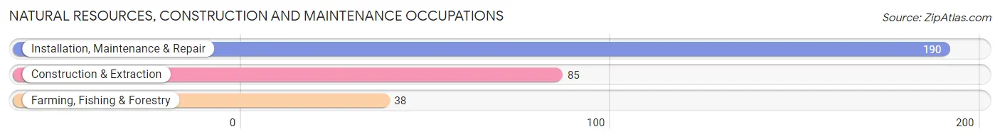 Natural Resources, Construction and Maintenance Occupations in Zip Code 74864