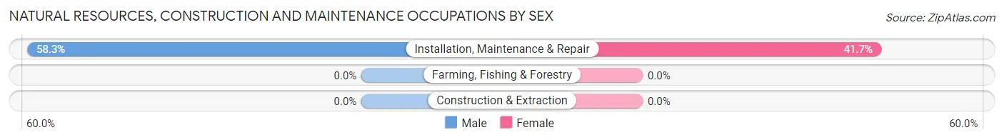 Natural Resources, Construction and Maintenance Occupations by Sex in Zip Code 74939