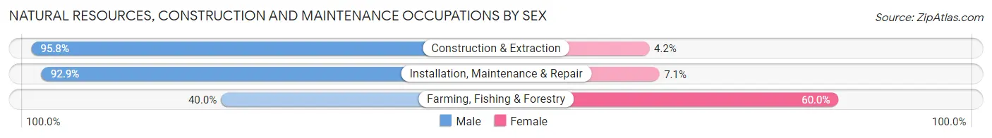 Natural Resources, Construction and Maintenance Occupations by Sex in Zip Code 74940