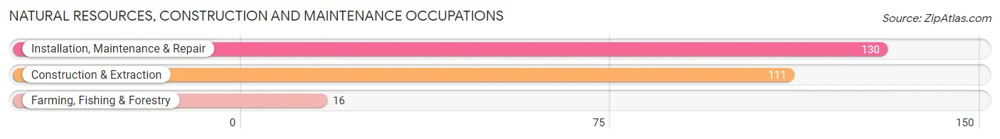 Natural Resources, Construction and Maintenance Occupations in Zip Code 74954