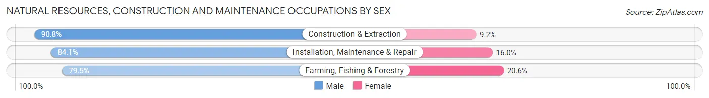 Natural Resources, Construction and Maintenance Occupations by Sex in Zip Code 74960