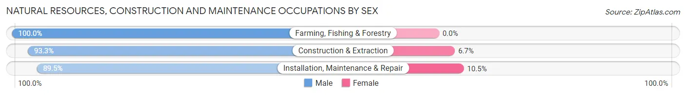 Natural Resources, Construction and Maintenance Occupations by Sex in Zip Code 74966