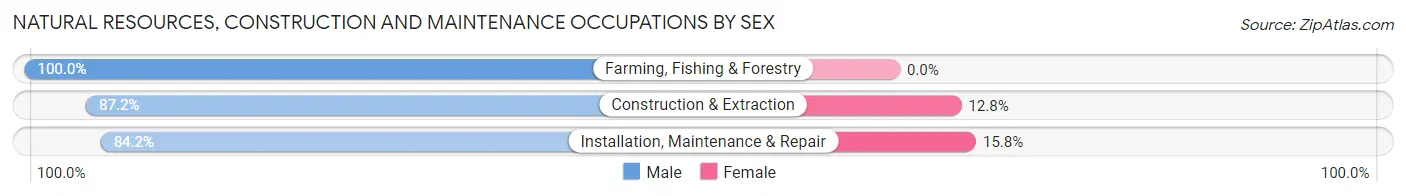 Natural Resources, Construction and Maintenance Occupations by Sex in Zip Code 75024