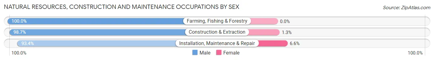 Natural Resources, Construction and Maintenance Occupations by Sex in Zip Code 75060