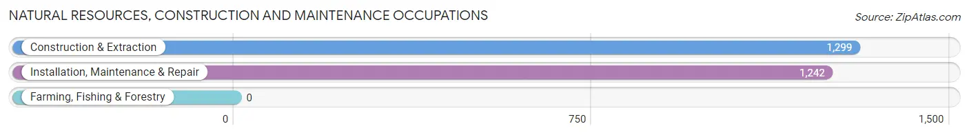 Natural Resources, Construction and Maintenance Occupations in Zip Code 75068