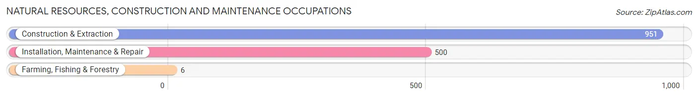 Natural Resources, Construction and Maintenance Occupations in Zip Code 75080