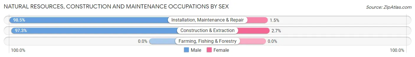 Natural Resources, Construction and Maintenance Occupations by Sex in Zip Code 75081