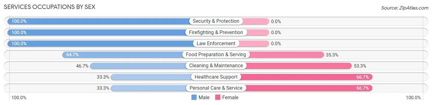 Services Occupations by Sex in Zip Code 75127
