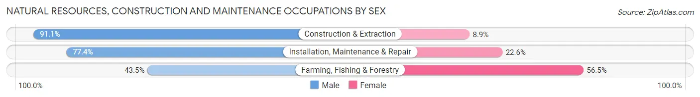 Natural Resources, Construction and Maintenance Occupations by Sex in Zip Code 75137