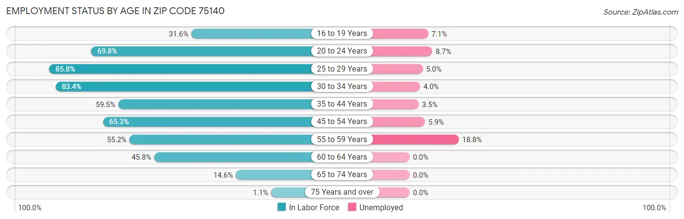 Employment Status by Age in Zip Code 75140