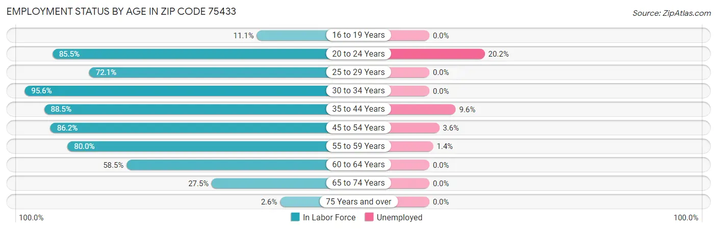 Employment Status by Age in Zip Code 75433