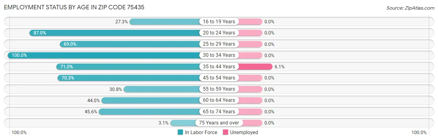 Employment Status by Age in Zip Code 75435