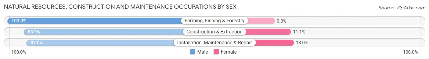 Natural Resources, Construction and Maintenance Occupations by Sex in Zip Code 75435