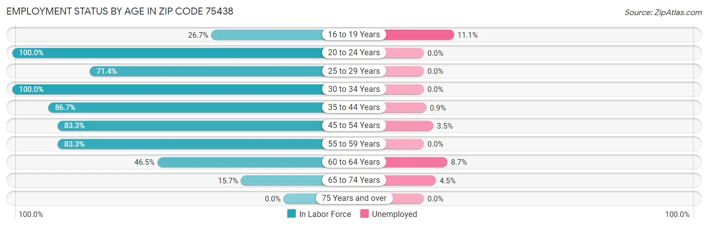 Employment Status by Age in Zip Code 75438