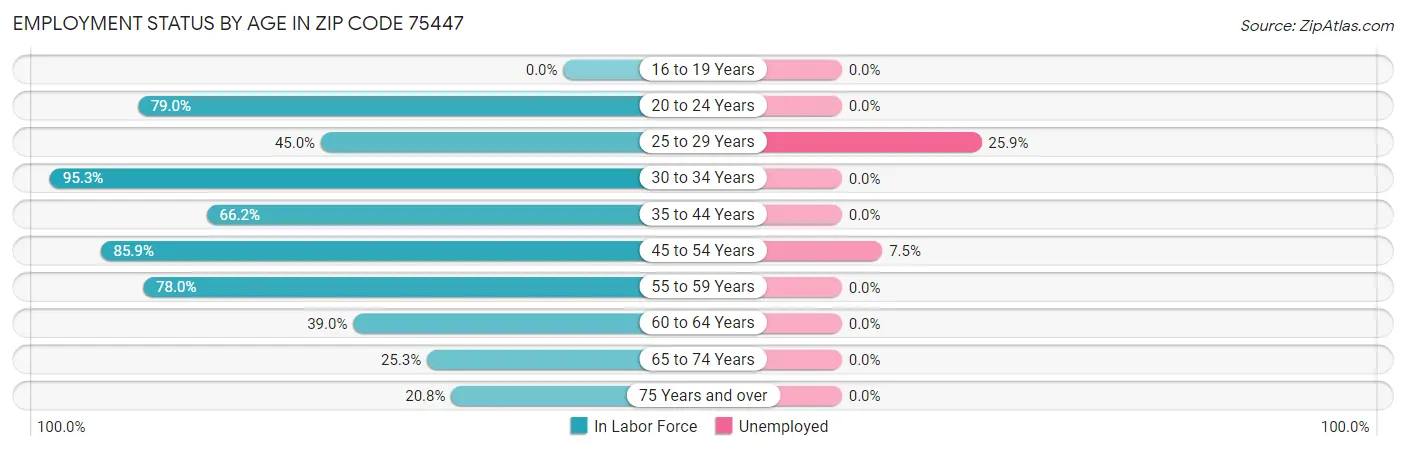 Employment Status by Age in Zip Code 75447