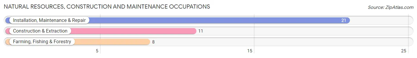 Natural Resources, Construction and Maintenance Occupations in Zip Code 75449