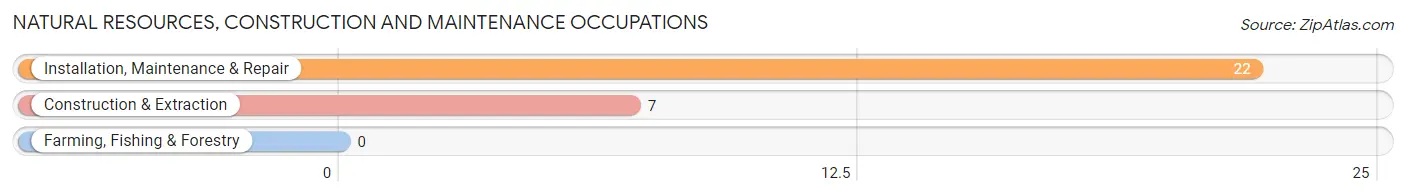 Natural Resources, Construction and Maintenance Occupations in Zip Code 75450