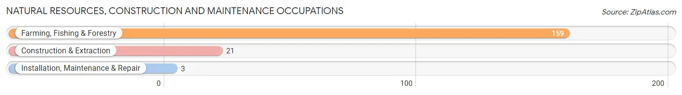 Natural Resources, Construction and Maintenance Occupations in Zip Code 75477