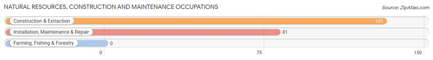 Natural Resources, Construction and Maintenance Occupations in Zip Code 75490