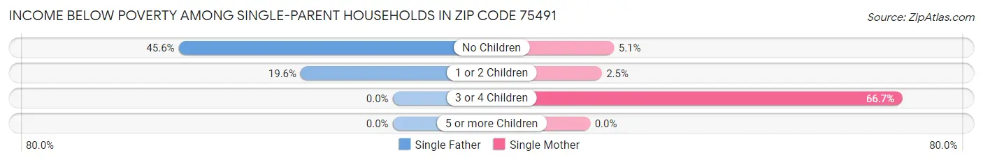 Income Below Poverty Among Single-Parent Households in Zip Code 75491