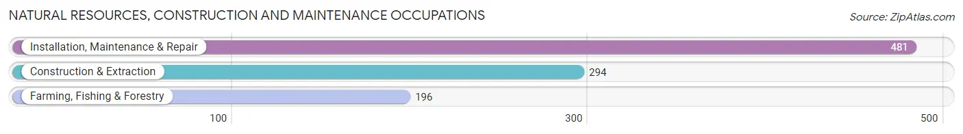 Natural Resources, Construction and Maintenance Occupations in Zip Code 75494